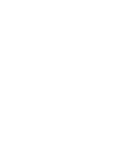 Añadir a shopping bag